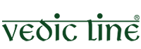 vedic line logo